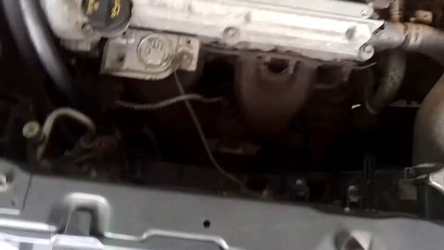 Сузуки: истории и легенды