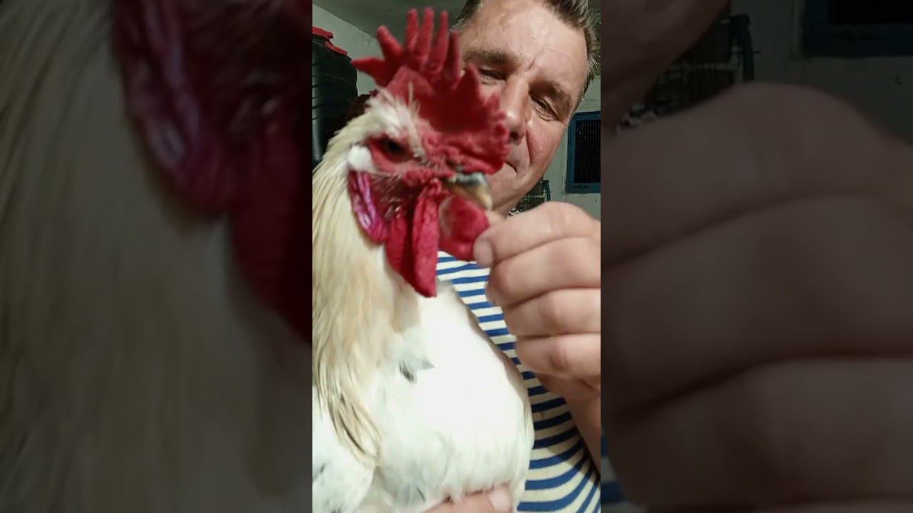 Хорошо в селе родном, пахнет сеном!!!