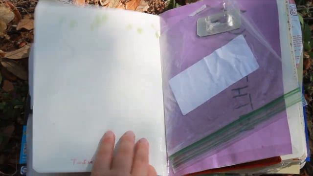 ДНЕВНИК МОЕЙ СОБАКИ/ ЧАСТЬ 1💫💗