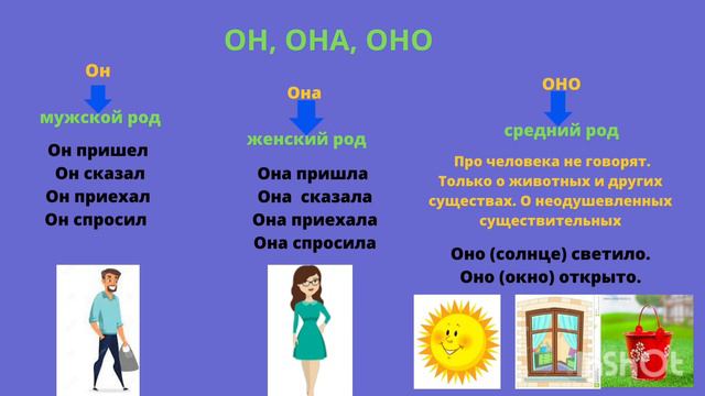 1 урок. Категория рода в русском языке. Местоимения мужского, женского, среднего рода.