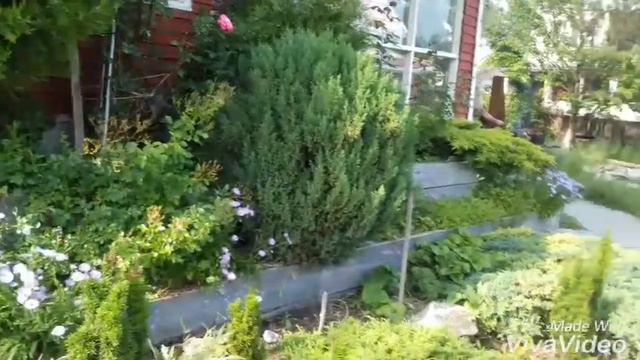 Не пропусти! Посмотри, не пожалеешь !!!