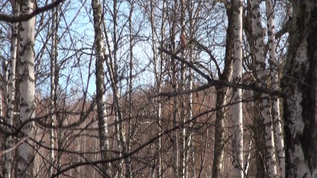 Самый тёплый день