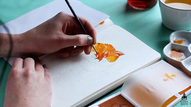 VIVIVA COLORSHEETS FIRST IMPRESSIONS