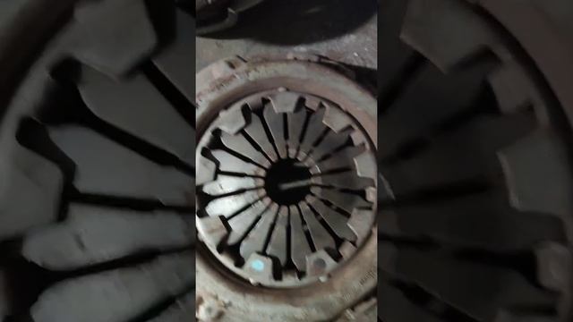 Fiat: любовь к автомобилям