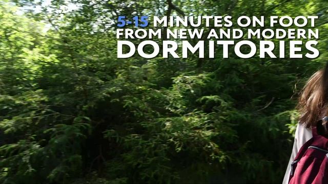 Томский государственный университет | ТГУ