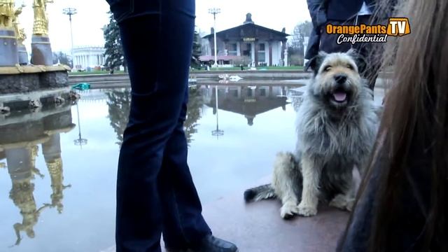 OrangePantsShow Confidential - Выпуск 2: Косплей-сходка 28.04.13 в Москве