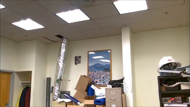 V955 Shakes Like A Wet Dog