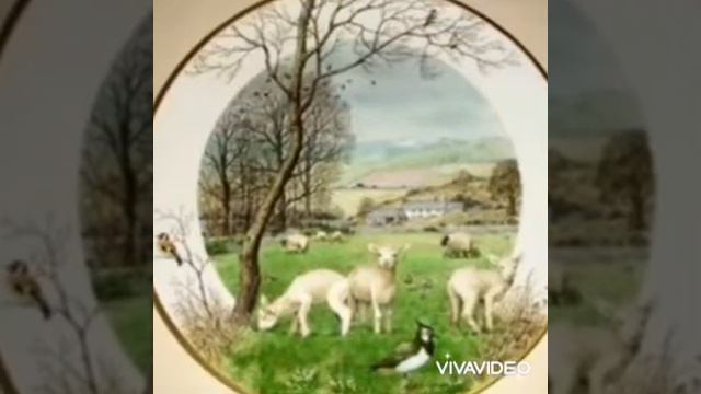 63.ФАРФОРОВЫЕ ТАРЕЛОЧКИ 