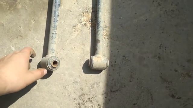 Грибы: Взгляд на Природу