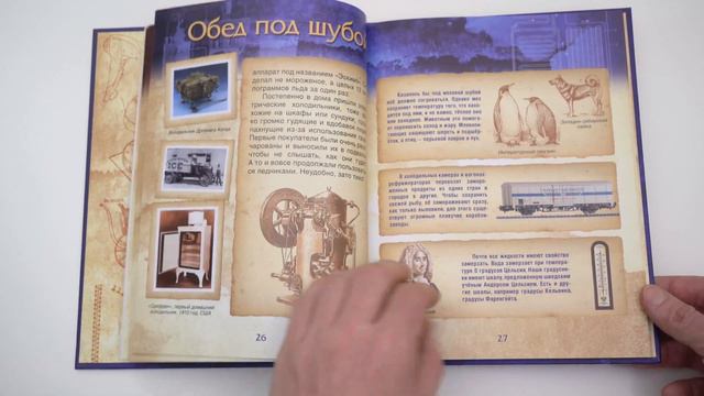 Светлана Зернес. Кто придумал и зачем, или Секрет из холодильника