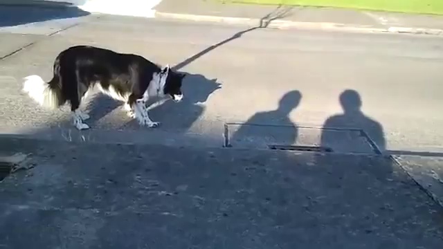 Wefwefweef, Wefewfew, Wefewf