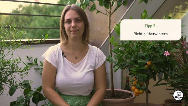 Zitruspflanzen Richtig Pflegen: 6 Tipps