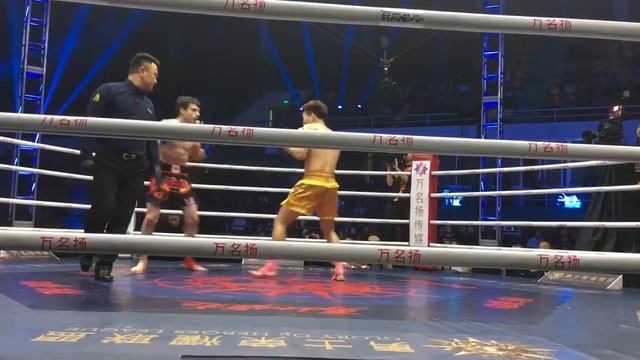 проф бой в Китае по к-1(Glory Of Heroes)