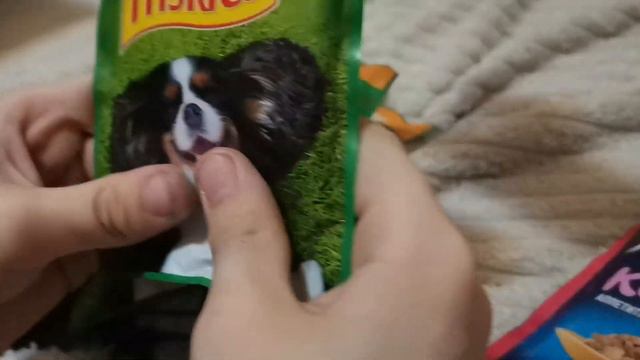 влажный корм для собак и кошек 