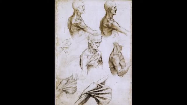 Da Vinci   Documentary On The Anatomical Drawings Of Leonardo Da Vinci Full Documentary
