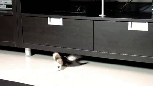 8a27d4336bf37a3ddc6b354202c00c2f