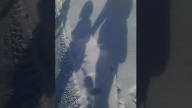 ВЛОГ: гуляем зимой.