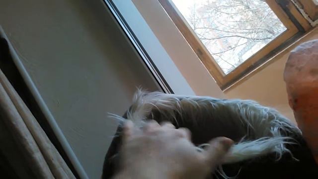 379869b1d17529181e74ed4c6e2c80d5