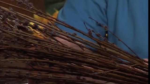 Mid-American Gardener With Sandy Mason February 22, 2018