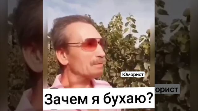 Шутка минутка