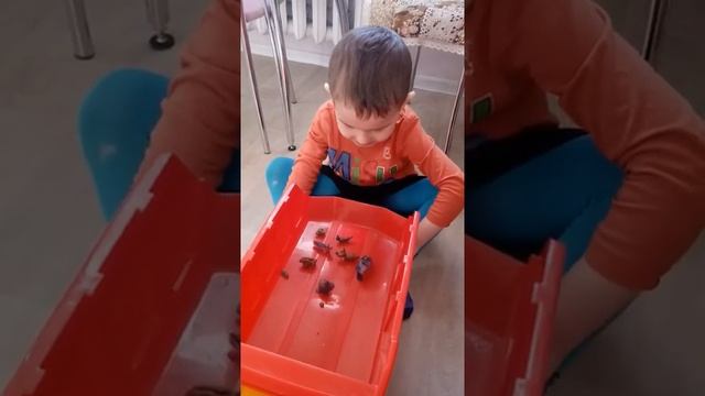 Сказка про бурундука