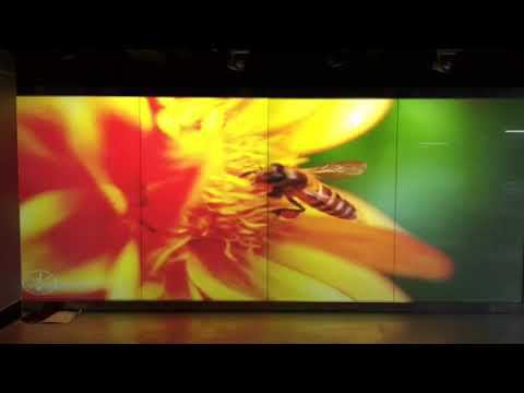 УМНОЕ СТЕКЛО SMART GLASS С ФУНКЦИЕЙ ОБРАТНОЙ ПРОЕКЦИЕЙ ИЛИ БЕЗ