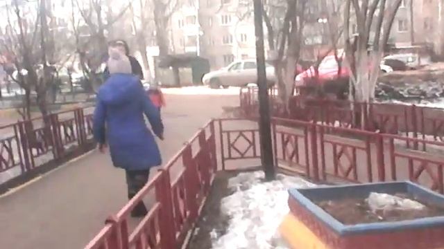 Собака Чаппи умеет играть в футбол