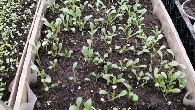 0c26ad665a733d4a1bc9866f3bbf80a7