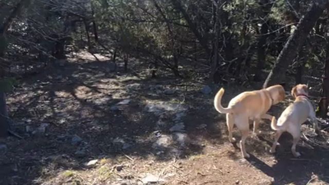 Compound Fracture Update