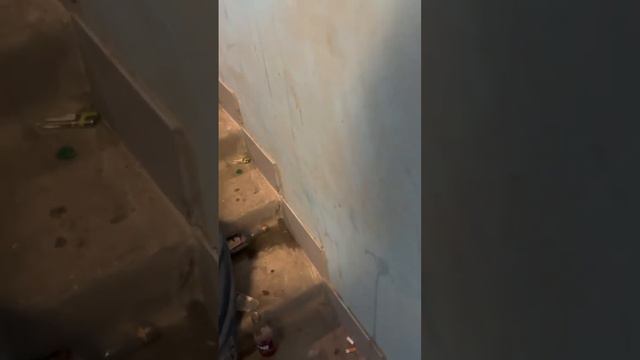 Августовская подборка бомжей