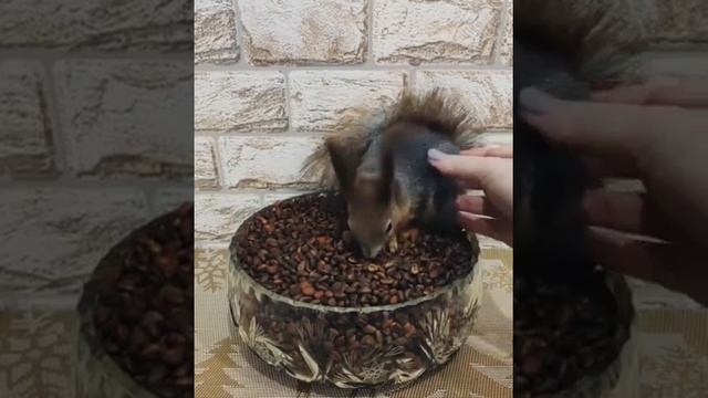 Fd192609bd13659a55d05ec005c2583c