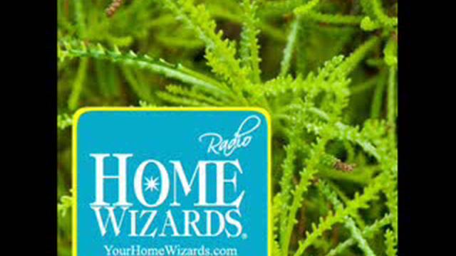 Stunning And Colorful Must Try Plants -- Bringing Black, Chartreuse And Exotic To Your Garden