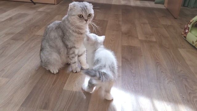 B6c9c91ab3ba6e2d4f0ec88adc4c9f8d