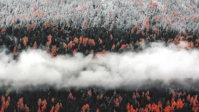 D&D RPG -  APPROACHING THE BATTLE.   Immersive Music For Tabletop Gameplay.