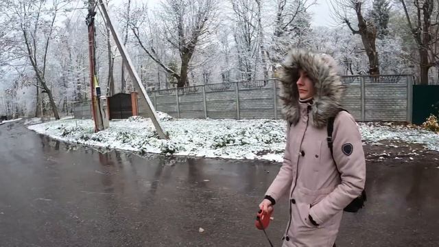 Почему люди покидают Германию ?