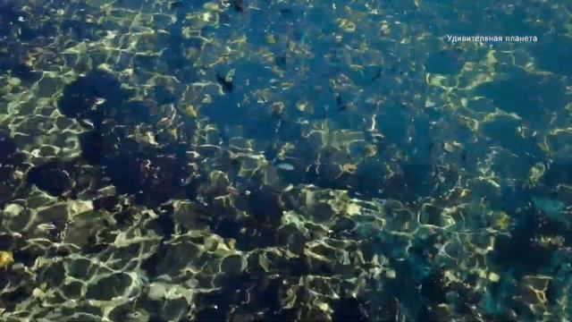 0b580d4f2e15a05566f9e8592ac135a4