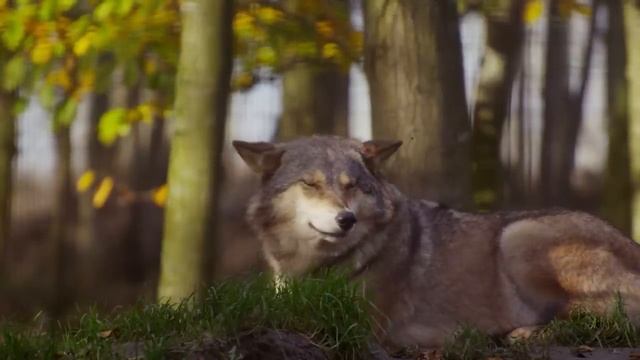 Db548dc3e89fcbcaff3102c8acd828e3