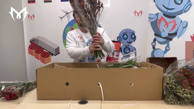 ОБЗОР-РАСПАКОВКА: микс от плантации Flamingo, Кения