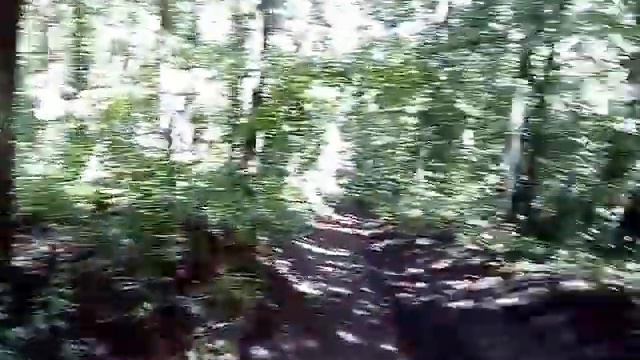 E04a90e7324a2bb3b9bbb57454927279