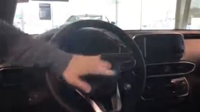 Madison's Santa Fe @ Tameron Hyundai In Hoover