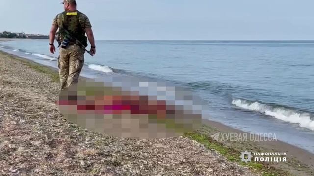 Открытие купального сезона в Одессе