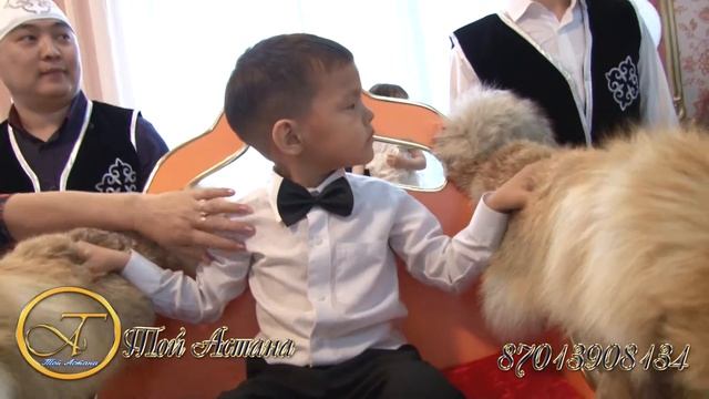 Выход с Троном и Верблюдом Один год Астана агенство Той Астана