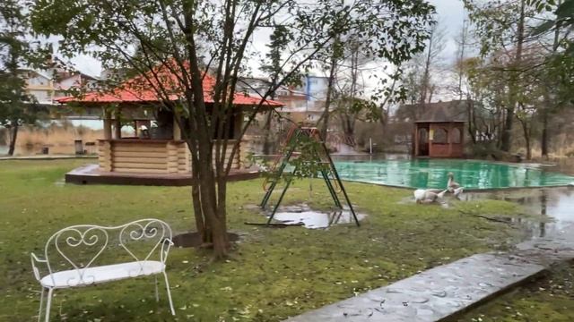 Поднялась вода на озере 