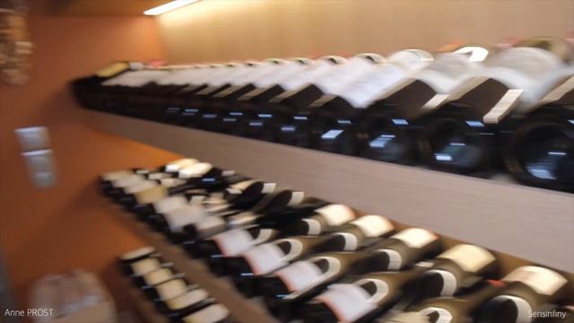 Restaurant ÉTOILÉ ? Paul BOCUSE - Immersion !!!