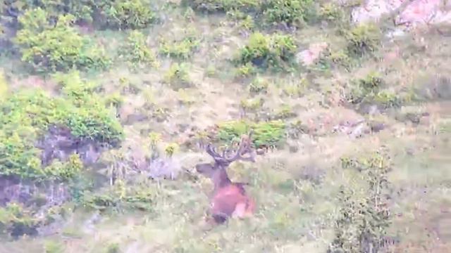 Конный тур в Джунгарии организованный Ecotourkz.com