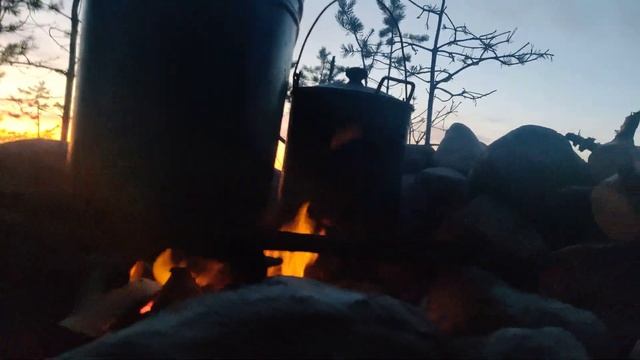 дневка  на белом , красота ..