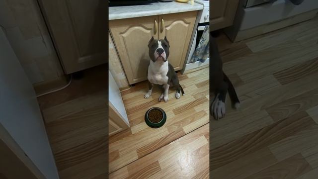 D9a4a1daba79010b469482a5665f7baf