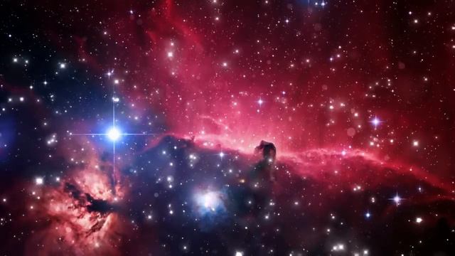 СМЫСЛ ЖИЗНИ человека   Послания Шамбалы Часть 22   Грани Агни Йоги