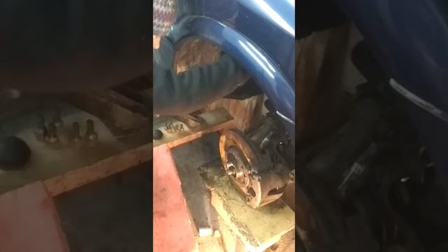 Оперенные открытия