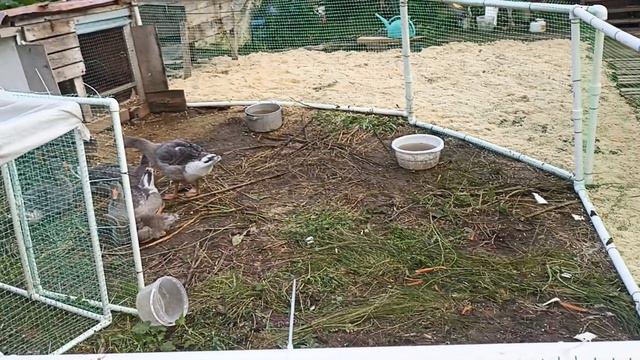 Перестановка маленькая.